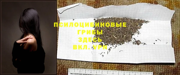 гашик Зерноград