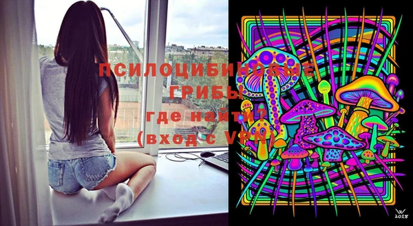 крисы Зеленодольск