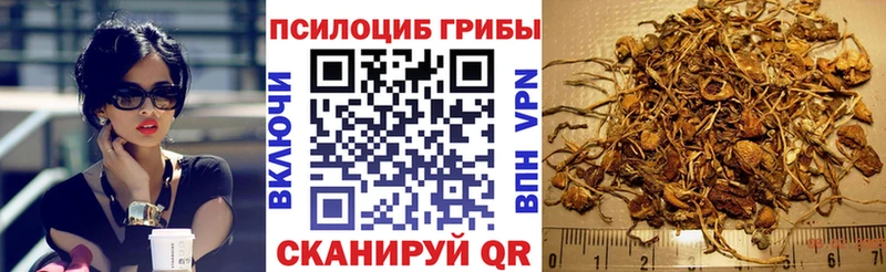 Купить где  Ликино-Дулёво  Галлюциногенные грибы GOLDEN TEACHER 